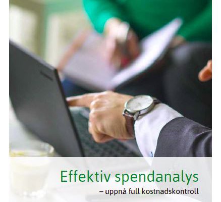 Framsidan på en rapport som heter "Effektiv spendanalys".