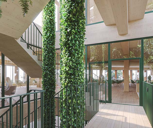 Bild på ett trapphus i ett kontorshus med gröna klängande växter på mittenpelarna.