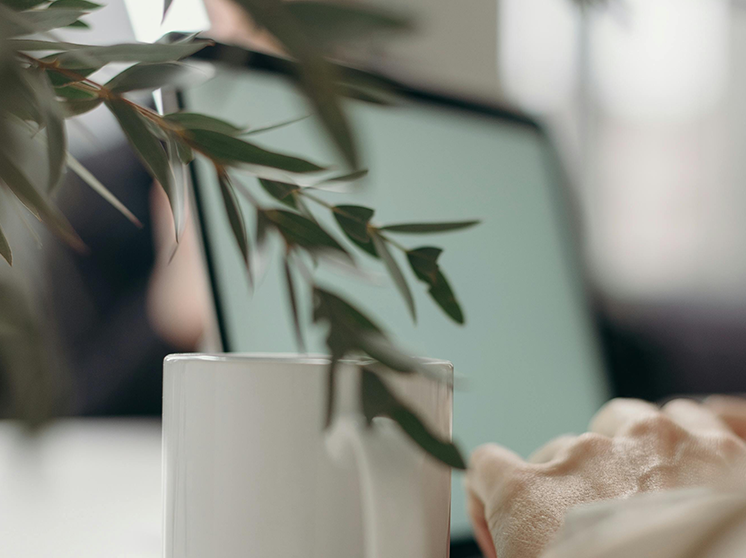 Närbild på en hand och en kaffekopp, i förgrunden en grön växt, i bakgrunden en datorskärm.